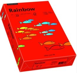 Papier xero kolorowy A4 160g 250 ark. RAINBOW R28 ciemnoczerwony 88042483
