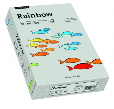 Papier xero kolorowy A4 80g 500 ark. RAINBOW R96 szary 88042805