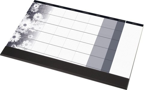 BIUWAR z listwą miesięczny 0318-0008-99 PANTA PLAST 407x330mm 2026/2027r.