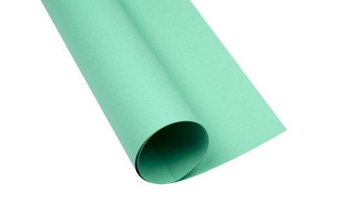 Karton kolorowy Creatinio A1 160g 25ark nr.64 seledynowy 400149554 TOP-2000 SALE